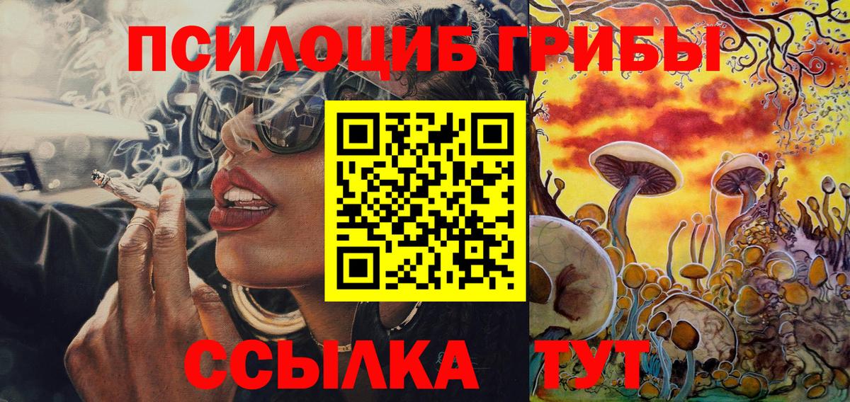 Псилоцибиновые грибы Psilocybe Дагестанские Огни