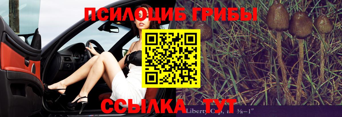 Галлюциногенные грибы прущие грибы  Вход с VPN  где можно купить   Дагестанские Огни 