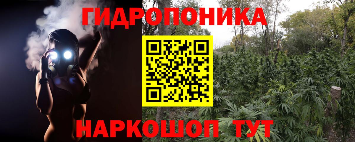 Бошки марихуана индика Дагестанские Огни